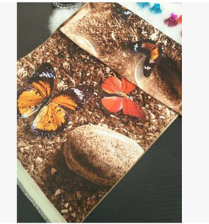Retro butterfly imitation cashmere scarf shawl wholesale
