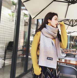 Wholesale transition imitation cashmere scarf