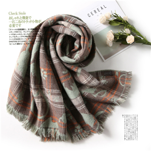 Wholesale cat print tassel cashmere scarf